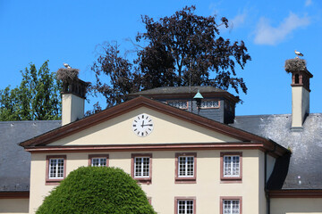 Stork nests on Pavillon Joséphine - Jardin de l'Orangerie - Strasbourg - 666245673