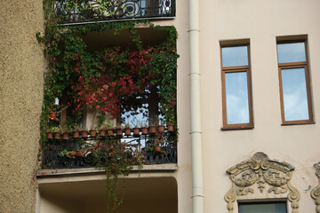 balcony decorated with flowers