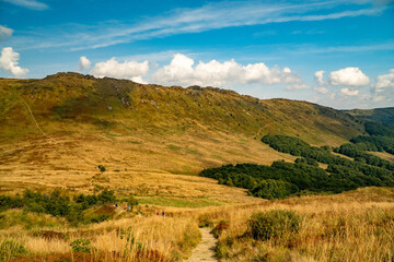 A mountain range in the Bieszczady Mountains in the area of Tarnica, Halicz and Rozsypaniec.
