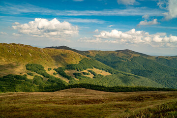 Naklejka premium A mountain range in the Bieszczady Mountains in the area of Tarnica, Halicz and Rozsypaniec.