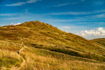 A mountain range in the Bieszczady Mountains in the area of Tarnica, Halicz and Rozsypaniec.