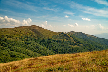 A mountain range in the Bieszczady Mountains in the area of Tarnica, Halicz and Rozsypaniec.