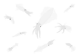 Set of Squids