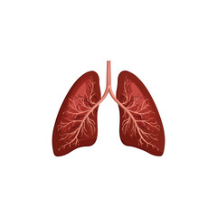 lungs vector type icon