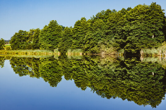 Spiegelungen am See, Wasserspiegelung mit B&auml;umen, See am Waldrand, 