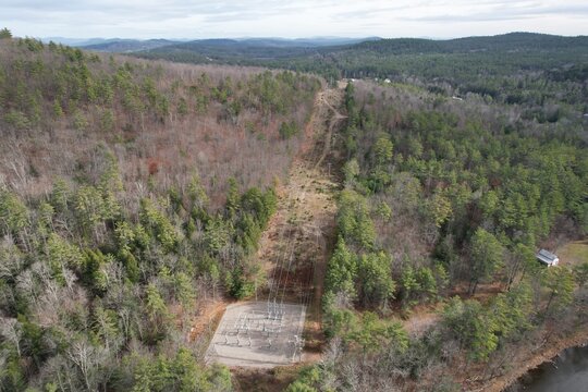 Electric lines in forest