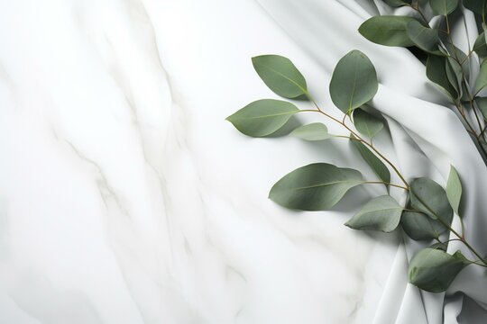 Elegant eucalyptus leaves on a white marble backdrop. Generative AI