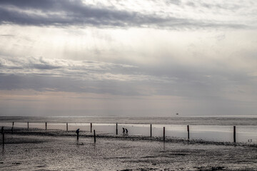 Strand mit Meer und Buhnen