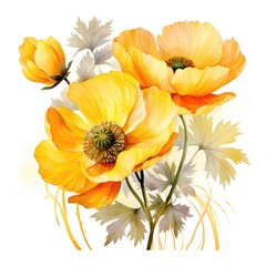 A branch of yellow anemone flowers on a white background, watercolor drawing. Generative AI
