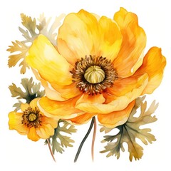 Yellow anemone flower on a white background, watercolor drawing. Generative AI