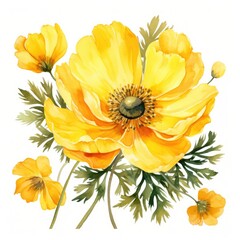 Yellow anemone flower on a white background, watercolor drawing. Generative AI