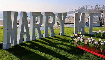 elaborate marriage proposal sign with red carpet at. the beach