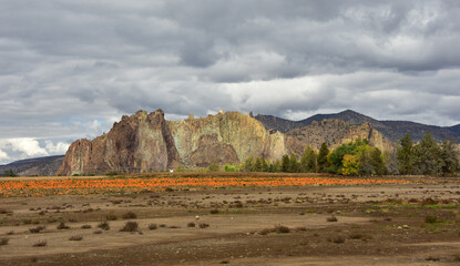 The towering rock spires and sheer basalt cliffs of breathtaking Smith Rock State Park in Central Oregon. Beckons climbers from around the world.