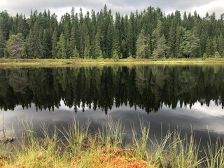 Cloudy day. Beautiful forest mountain lake. Trees reflected in the water