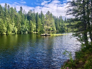 Sunny day. Beautiful forest mountain lake. Trees reflected in the water