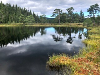 Cloudy day. Beautiful forest mountain lake. Trees reflected in the water