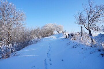 Snowdrifts in the countryside.Frosty winter damp atmosphere.
