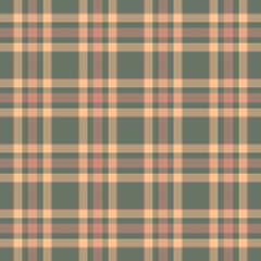 Pattern fabric vector of textile texture plaid with a check background tartan seamless.