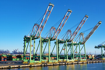 Cranes line the quayside at the Port of Los Angeles container terminal. - obrazy, fototapety, plakaty