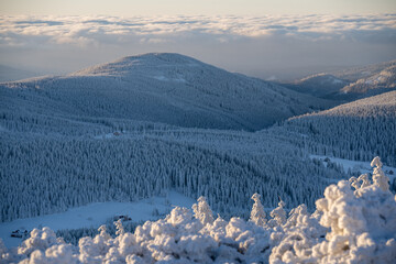 Snowy mountain landscape with trees.