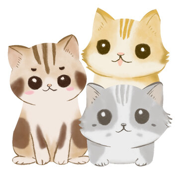 hand drawn clipart cute cat
