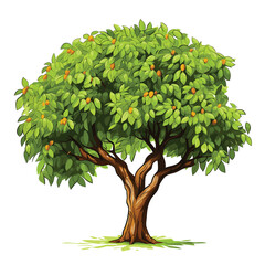 Hand Drawn Flat Color Mango Tree Illustration
