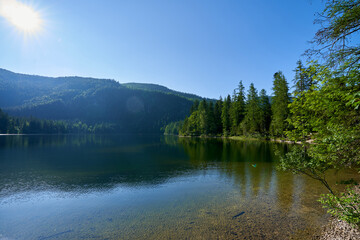 Fototapeta na wymiar Lake Oedensee in Styria (Austria) in summer