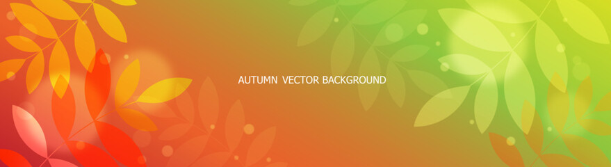 Autumn Vector Background. Abstract Pattern with Orange and Green Gradient and Spots  with Bokeh effect.