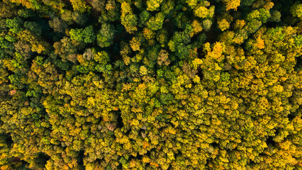 Aerial drone view of autumn forest on the mountain. Top down