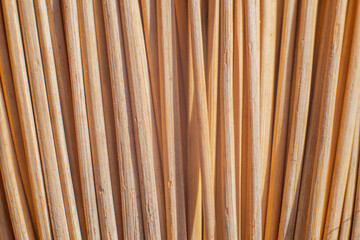 Background of a millet broom fibers