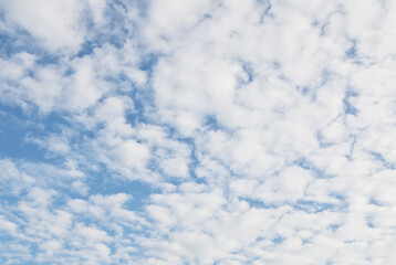 Bright Blue sky with white cloud. Beautiful sky background and wallpaper. Clear day and good weather in the morning.  