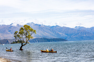 That tree in Lake Wanaka New Zealand