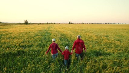 Happy family of farmers with child are walking through wheat field. Mom, dad, child walk hand in hand on green field. Carefree mother, father, little son enjoying nature, outdoor, sun together. People