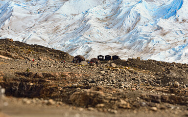 Refugio al pie del glaciar
