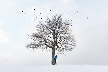 A minimalist landscape with a solitary tree standing in the midst of a snow-covered field, a lone...