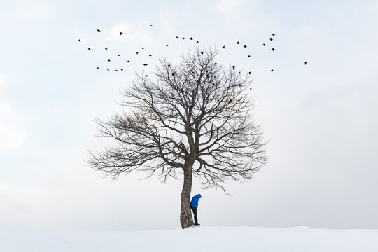A minimalist landscape with a solitary tree standing in the midst of a snow-covered field, a lone traveler beneath it, and a flock of black birds in the sky