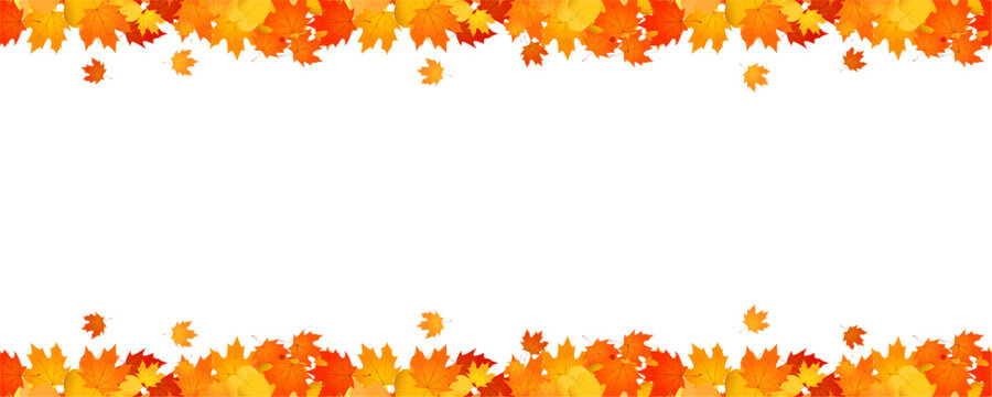 frame of Abstract autumn panorama with colorful leaves , Vector