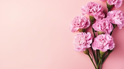 Naklejka na ściany i meble Beautiful pink carnation flowers bouquet on pink background