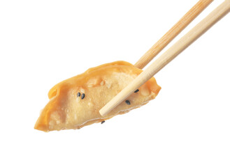 Chopsticks with delicious gyoza (asian dumpling) and sesame isolated on white