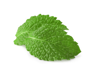 Fresh green mint leaves isolated on white