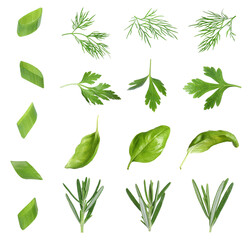 Set with different greens isolated on white. Basil, rosemary, parsley, dill and onion