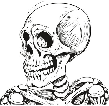 Spooky Skeletal Phenomenon in Monochrome