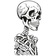 Vector Bones for Spooky Image