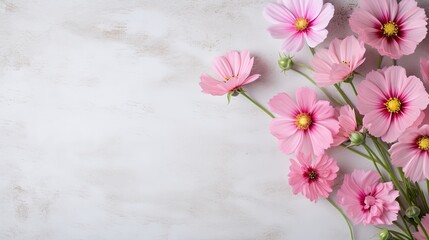 Naklejka na ściany i meble Fresh pink flowers on light rustic background