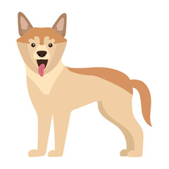 dog shiba inu