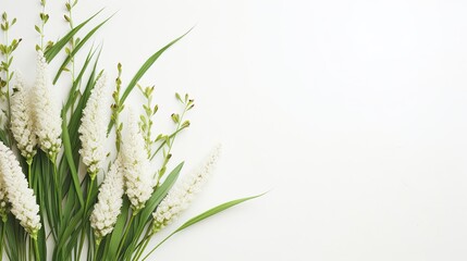 Spring white flowers and green spikelets grass