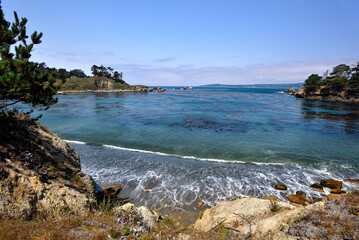 Shores of the Whalers Cove in Point Lobos State Reserve - California, USA - obrazy, fototapety, plakaty
