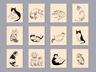Set of cute cats poses icon character vector illustration. Cartoon portrait of playful pets with funny faces cats.