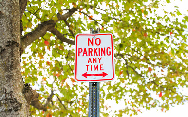 No Parking sign against a city backdrop, symbolizing urban restrictions and traffic control, with...