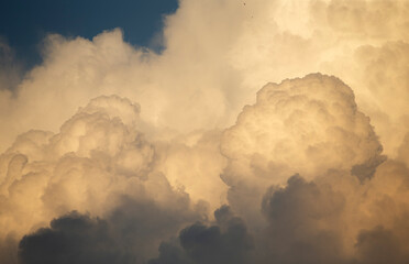 Cloudscape has been developing in gorgeous form.  Backgrounds and textures.